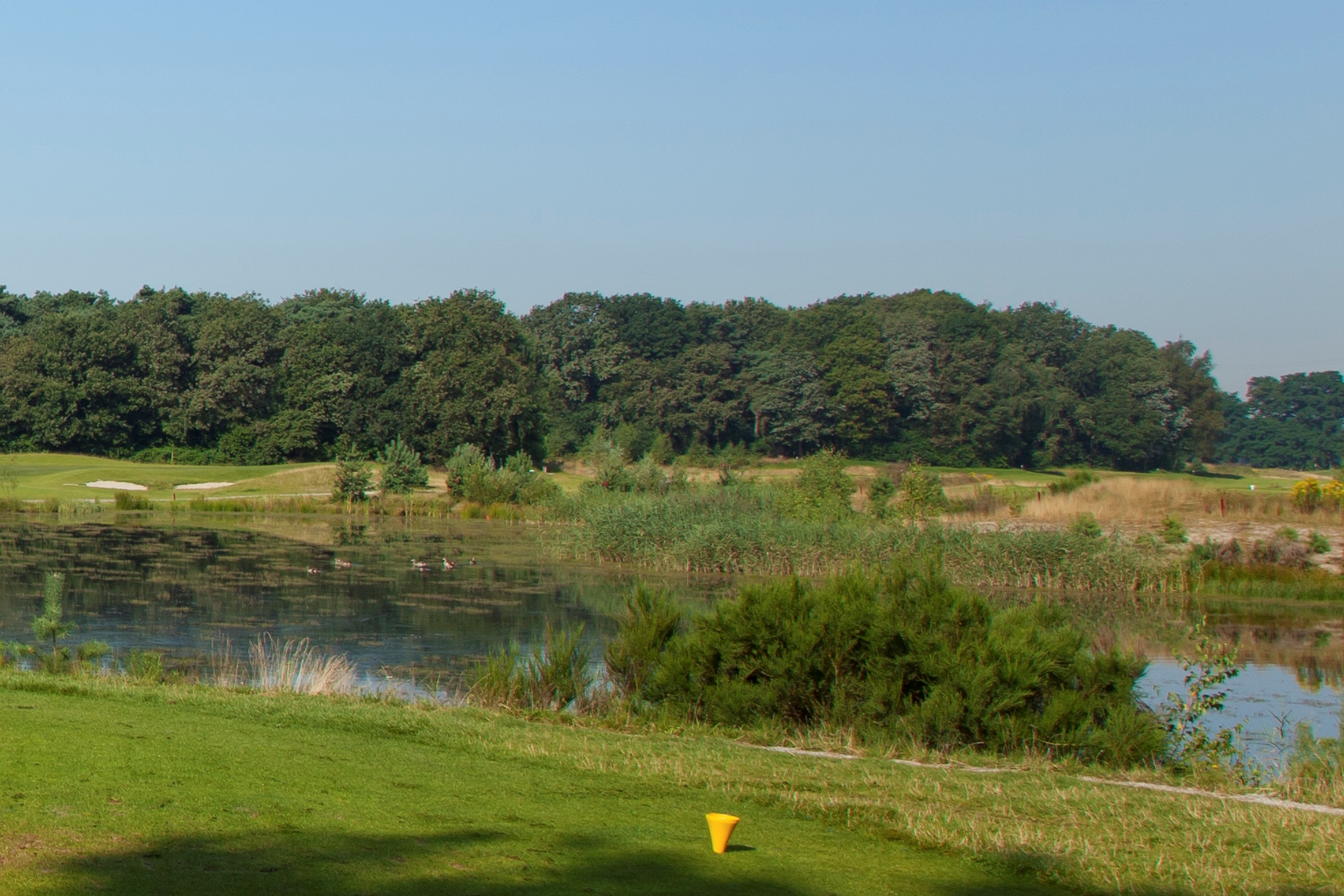 igolf-mix-2020-coordinator.jpg