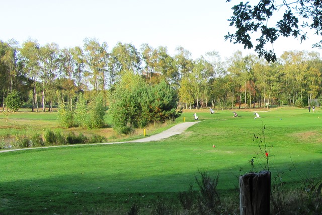 ngf-competitie-najaar-2021-coordinatie.jpg
