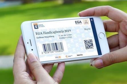 handicap-ega-digitale-pas.jpg