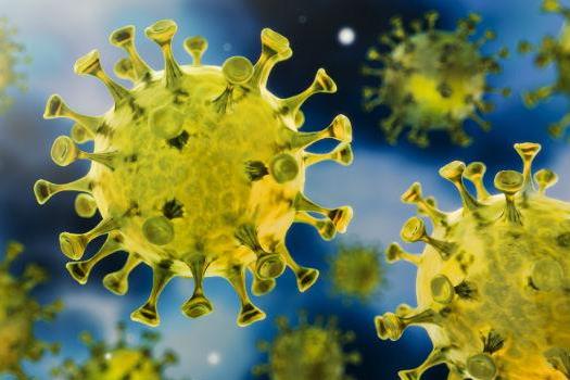 coronavirus.jpg