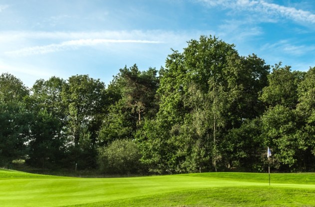 buddywedstrijd - par3 baan